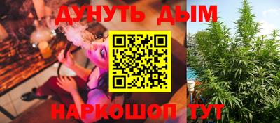 Альфа ПВП Кингисепп