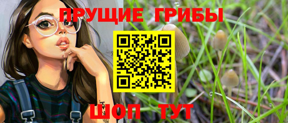 Галлюциногенные грибы Psilocybe  Галлюциногенные грибы Cubensis  Каменка  Вход с VPN 