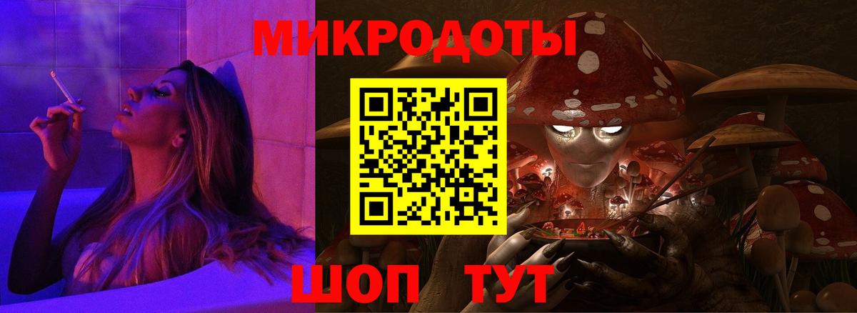 Псилоцибиновые грибы Cubensis Каменка