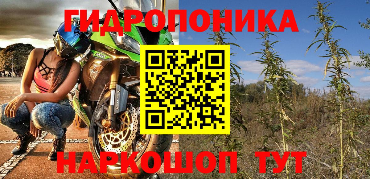 Бошки марихуана OG Kush Каменка